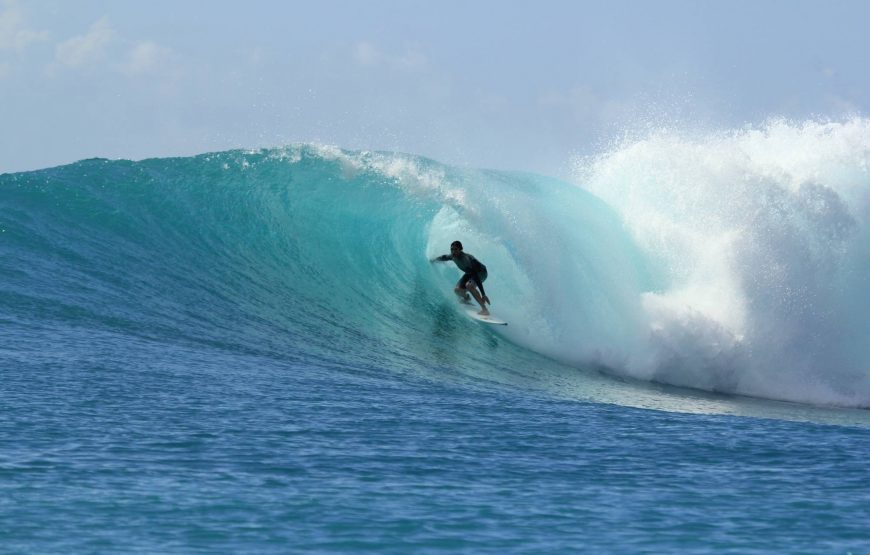 Ollies Point Surf Break